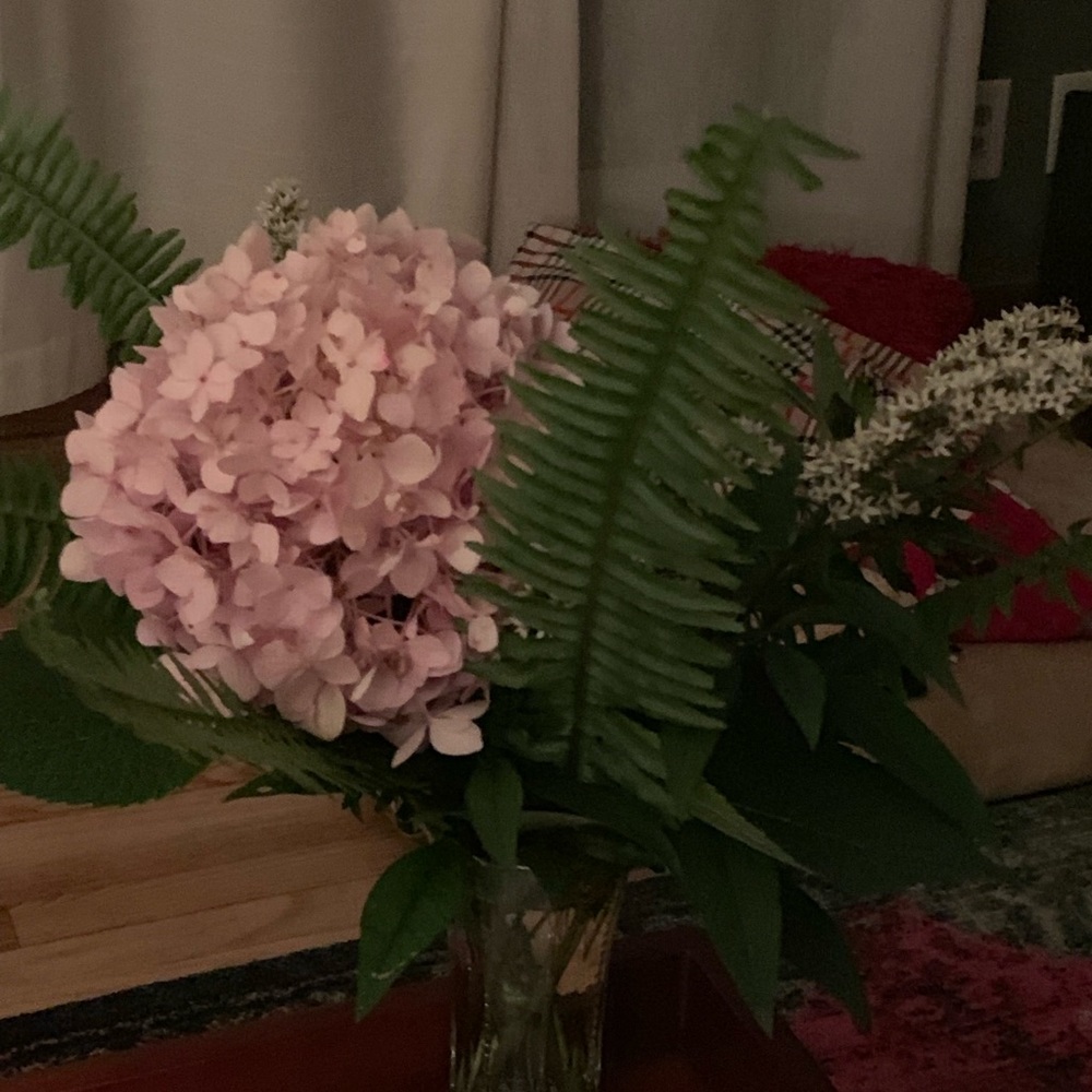 Meet your Posher, Lucretia